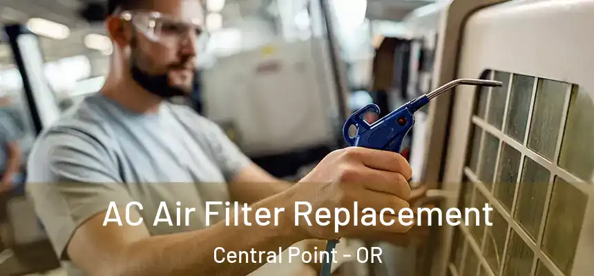 AC Air Filter Replacement Central Point - OR