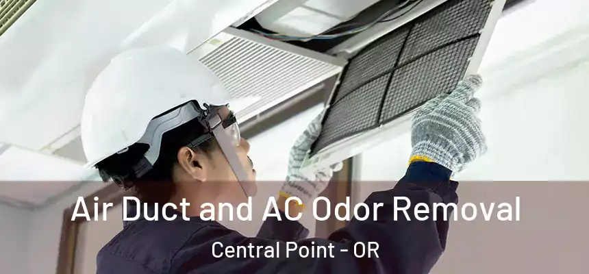 Air Duct and AC Odor Removal Central Point - OR