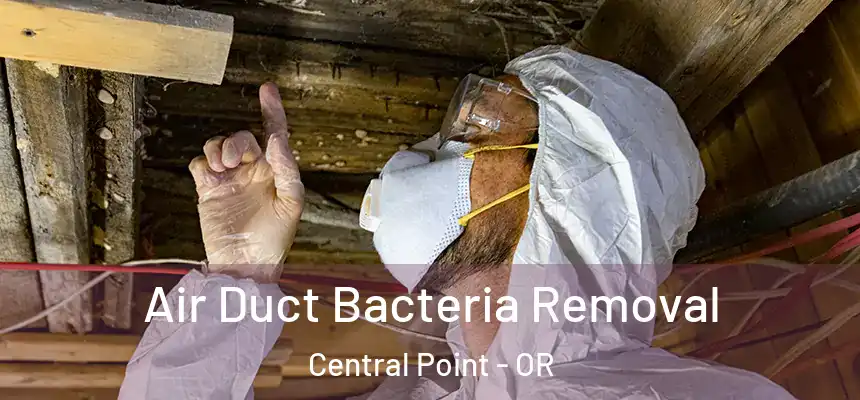 Air Duct Bacteria Removal Central Point - OR
