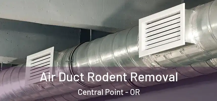 Air Duct Rodent Removal Central Point - OR