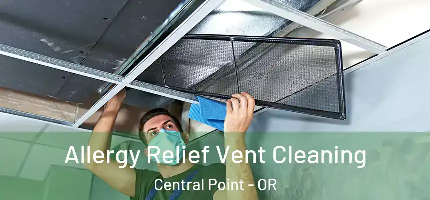 Allergy Relief Vent Cleaning Central Point - OR