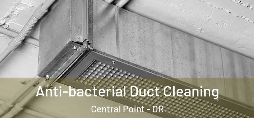 Anti-bacterial Duct Cleaning Central Point - OR