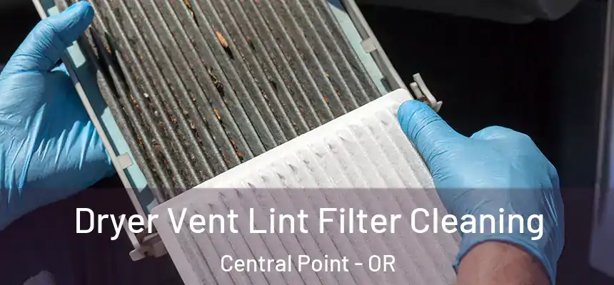 Dryer Vent Lint Filter Cleaning Central Point - OR