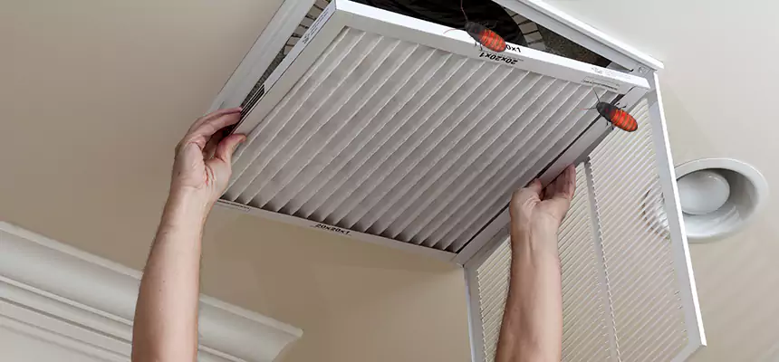 Preventive Cockroach-Proofing for Ducts in Central Point