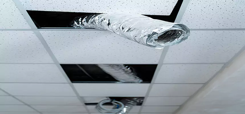 Our Air Duct Pet Hair Removal Services in Central Point, OR