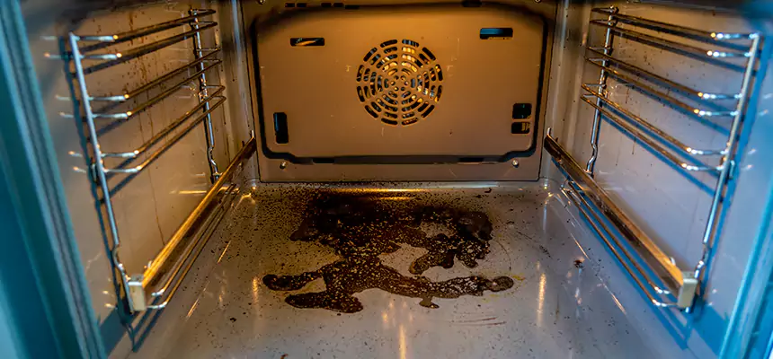 Our Dryer Vent Mold Cleaning Services in Central Point, OR