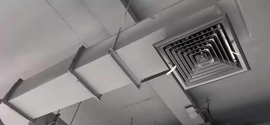 Our Pest Removal From Ducts Services in Central Point, OR