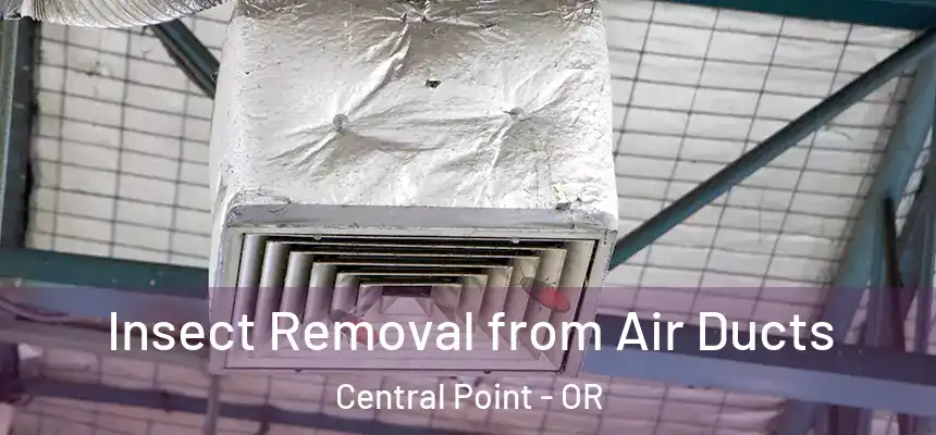  Insect Removal from Air Ducts Central Point - OR