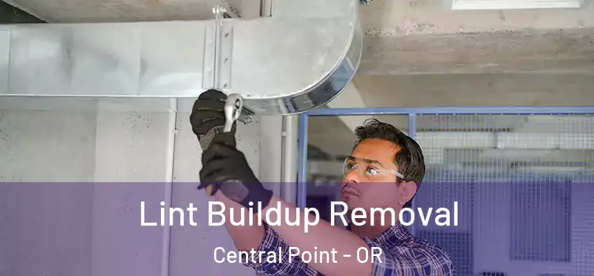 Lint Buildup Removal Central Point - OR