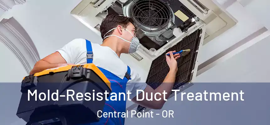  Mold-Resistant Duct Treatment Central Point - OR