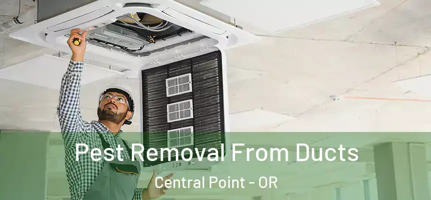  Pest Removal From Ducts Central Point - OR