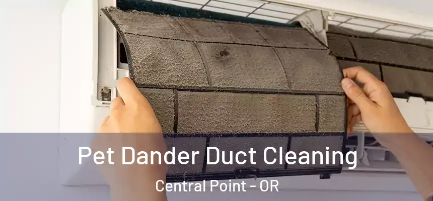 Pet Dander Duct Cleaning Central Point - OR