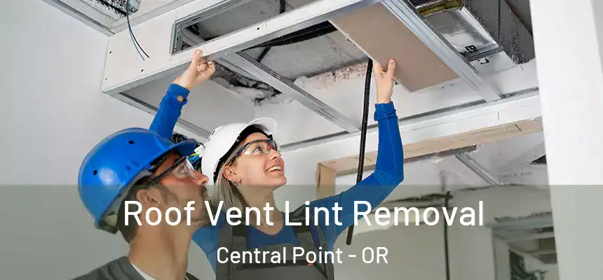  Roof Vent Lint Removal Central Point - OR